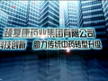 頸復(fù)康藥業(yè)集團(tuán)形象展示 (197播放)