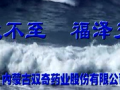 內(nèi)蒙古雙奇藥業(yè) (452播放)