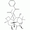 10-脫乙?；涂ǘ?III CAS 32981-86-5